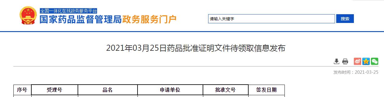 蘋(píng)果酸舒尼替尼膠囊